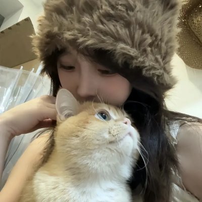熊猫回家路